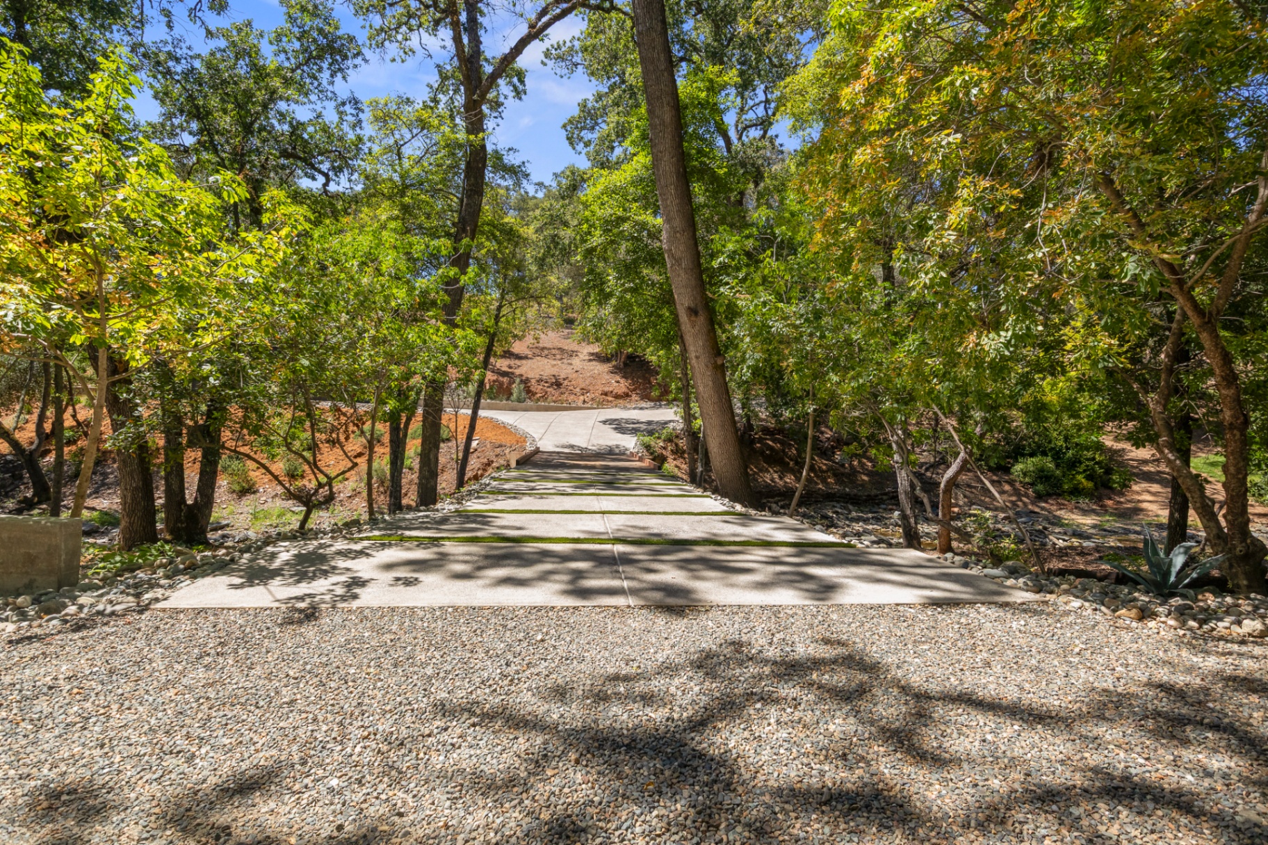 Long concrete-and-gravel driveway climbing up through the oak trees